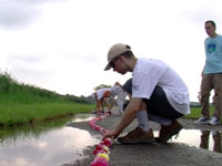 flowers-2.jpg